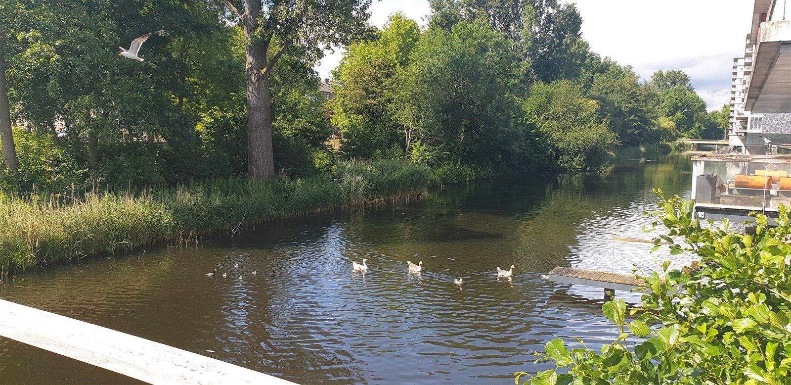 Osdorper Ban 793, Amsterdam