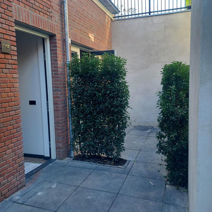 Hinthamerstraat 71, 's-Hertogenbosch